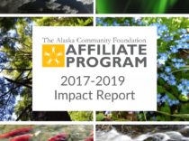 2017-2019 Impact report cover image